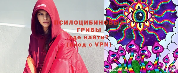 прущий лед Белокуриха