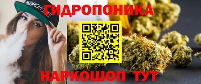гидропоника Гудермес