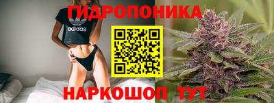 гидропоника Гудермес