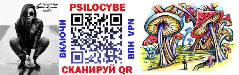 закладка  Черняховск  Галлюциногенные грибы Psilocybine cubensis 