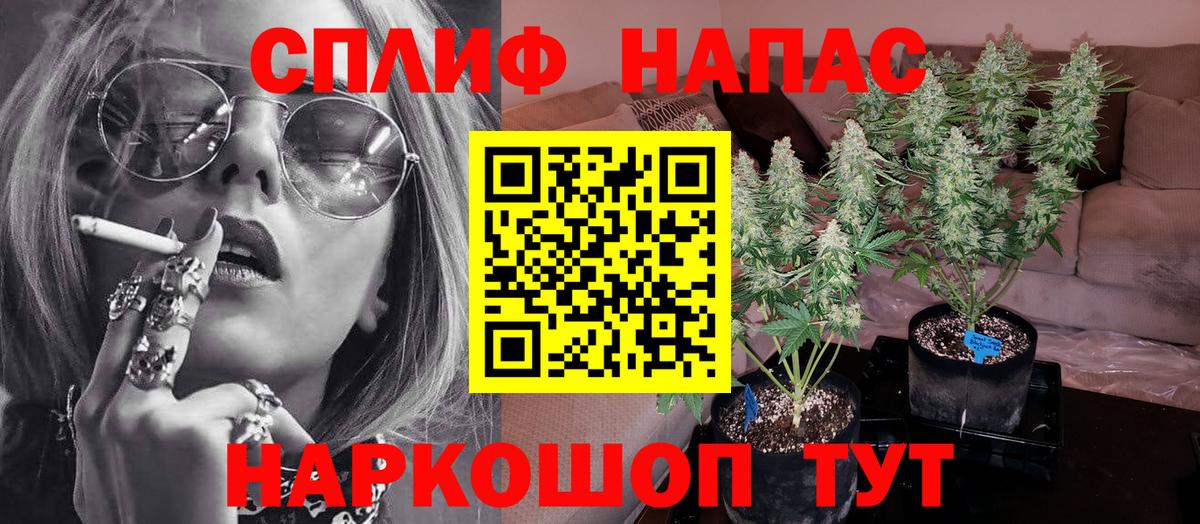 Каннабис конопля Черняховск